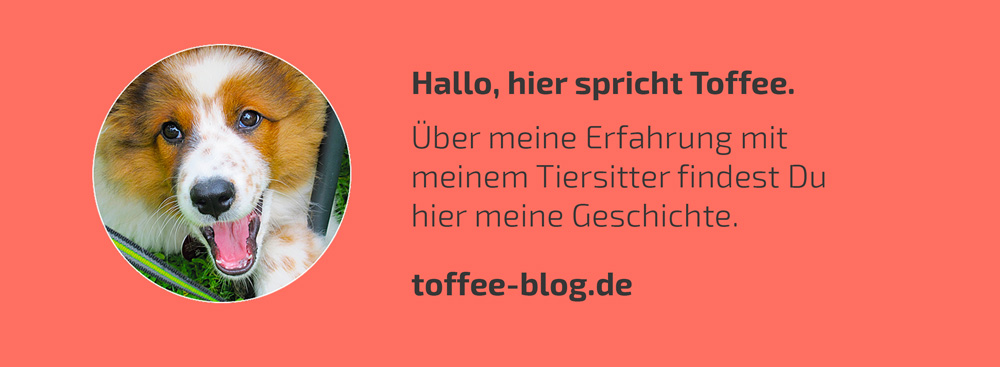 toffee-blog